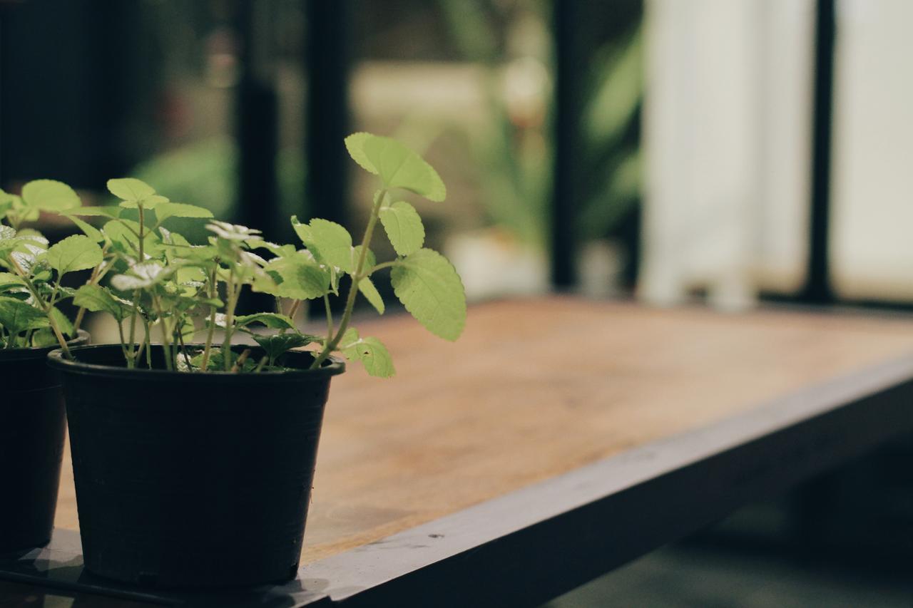 Mint Hostel Bangkok Eksteriør bilde
